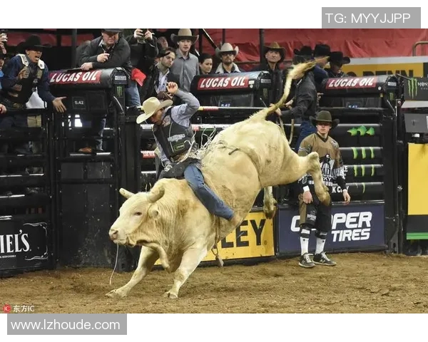 极限运动技术排行榜：西安极限运动队位居第4名